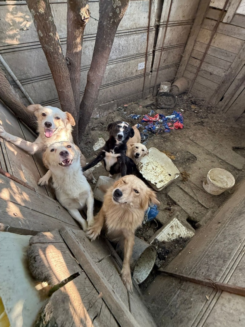 538542328_787922976937663_5314347955044025488_n