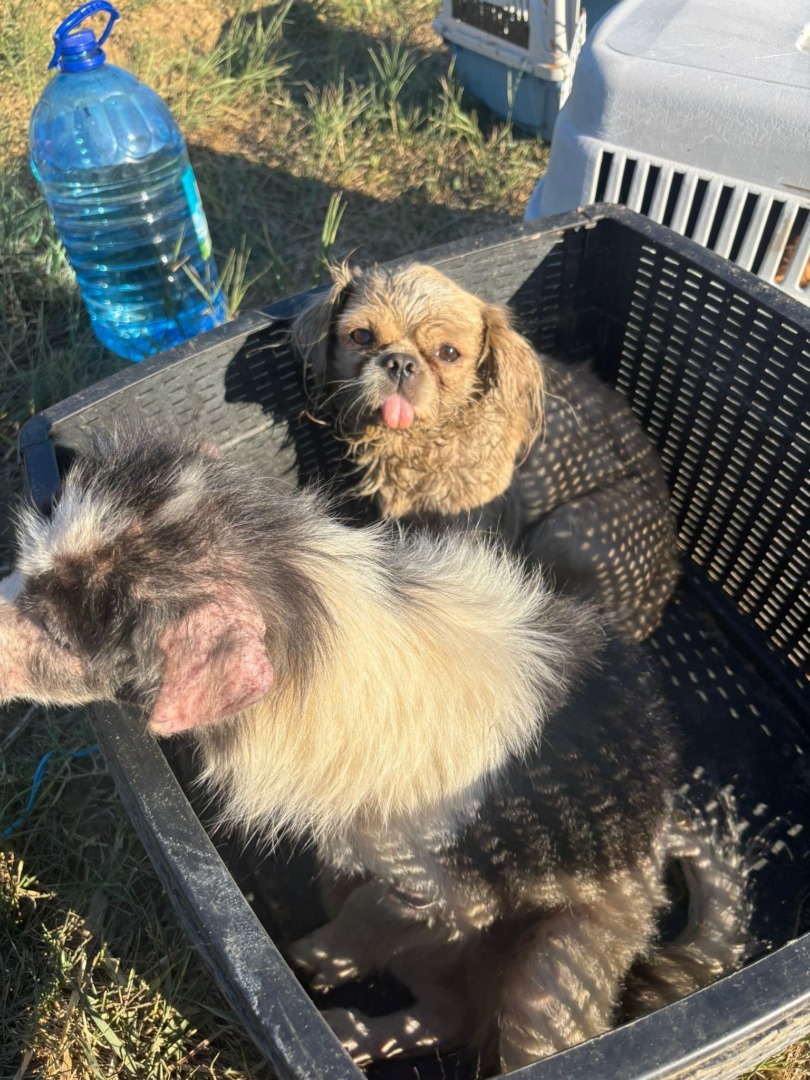 538639470_787923186937642_4321004737066964859_n