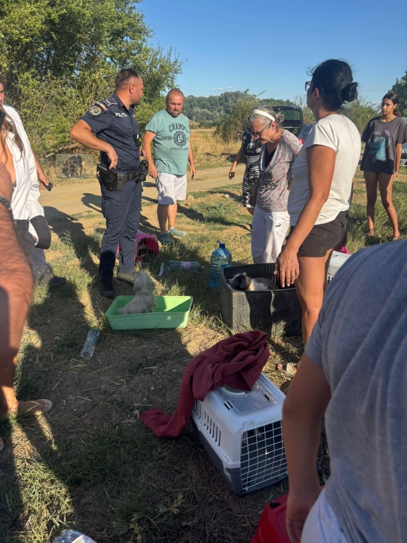 538786670_787923006937660_3264518327246937894_n