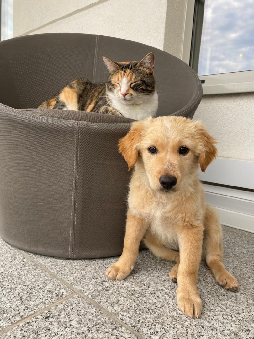 5a999387-93dd-4a16-af74-d51d33c2f09e