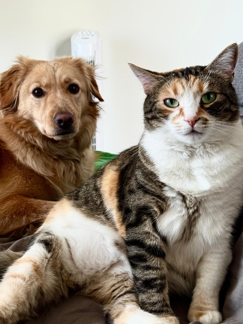 5ea857ff-5e7f-487a-b076-958dc9f37134