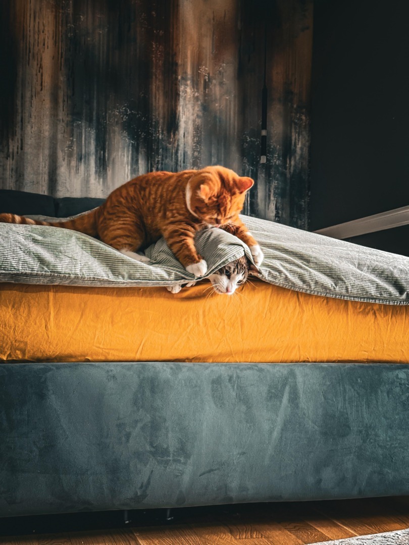 5f1a6a9a-7eac-4076-9951-34d274b5c54d