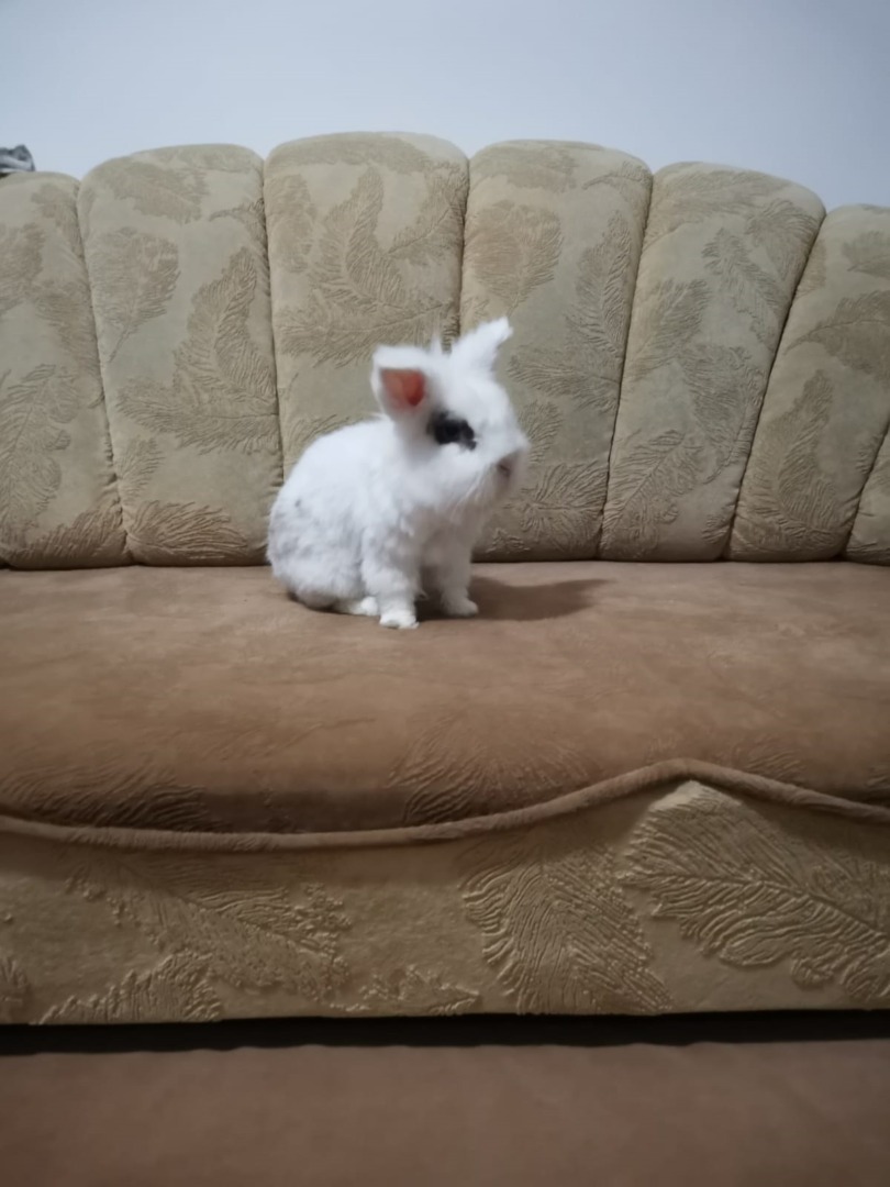 64330433-d858-40cc-b302-e4780c3f9ffe