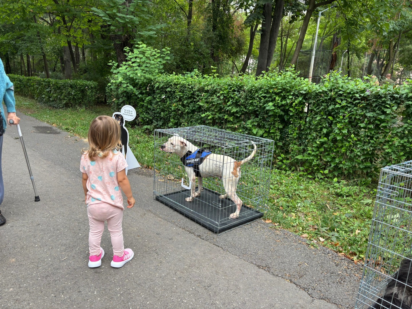 688100ba-38d1-405a-a0a4-3f16403dc1a7