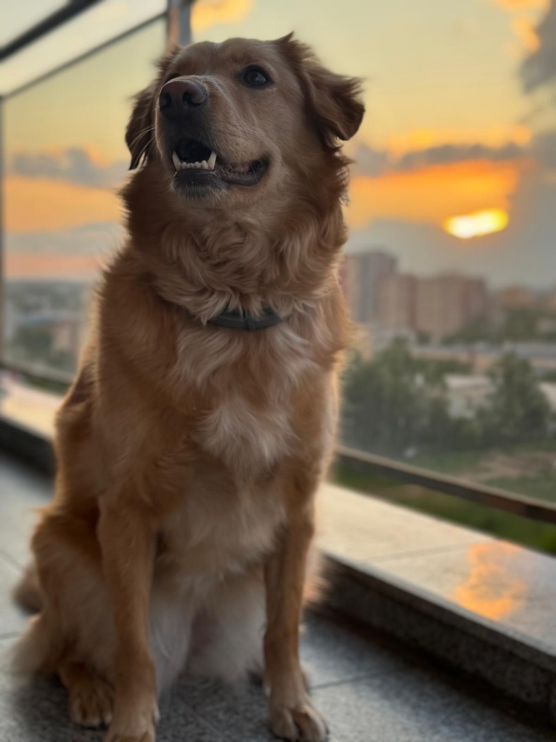 7703128b-ad4d-42f2-91d2-b5dfba8d6b7a