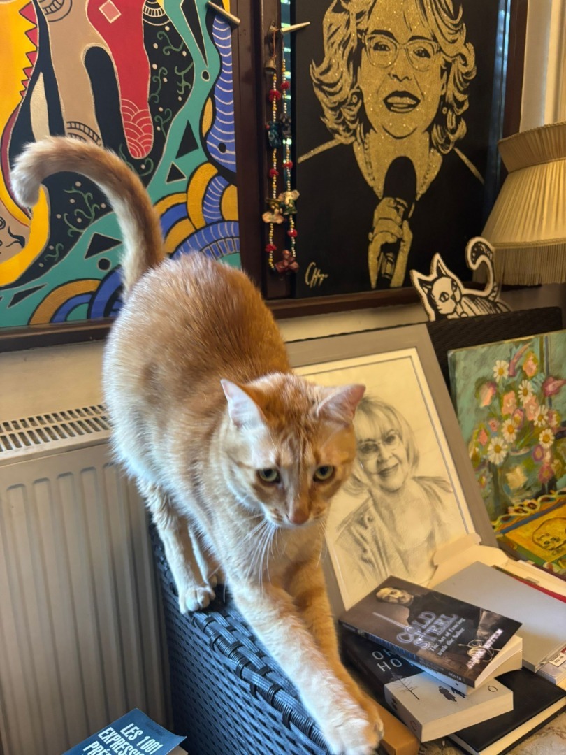 800f4d4e-13c3-40f2-9aec-8a06889da6e4