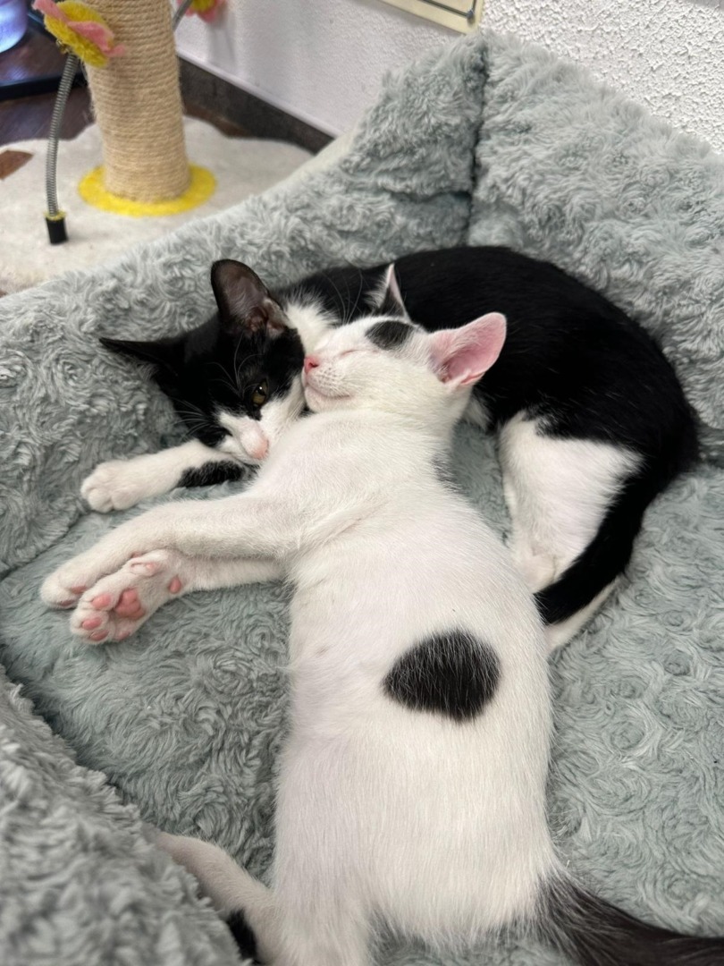 83b5a428-314c-4ceb-a71a-192577d9d4a0