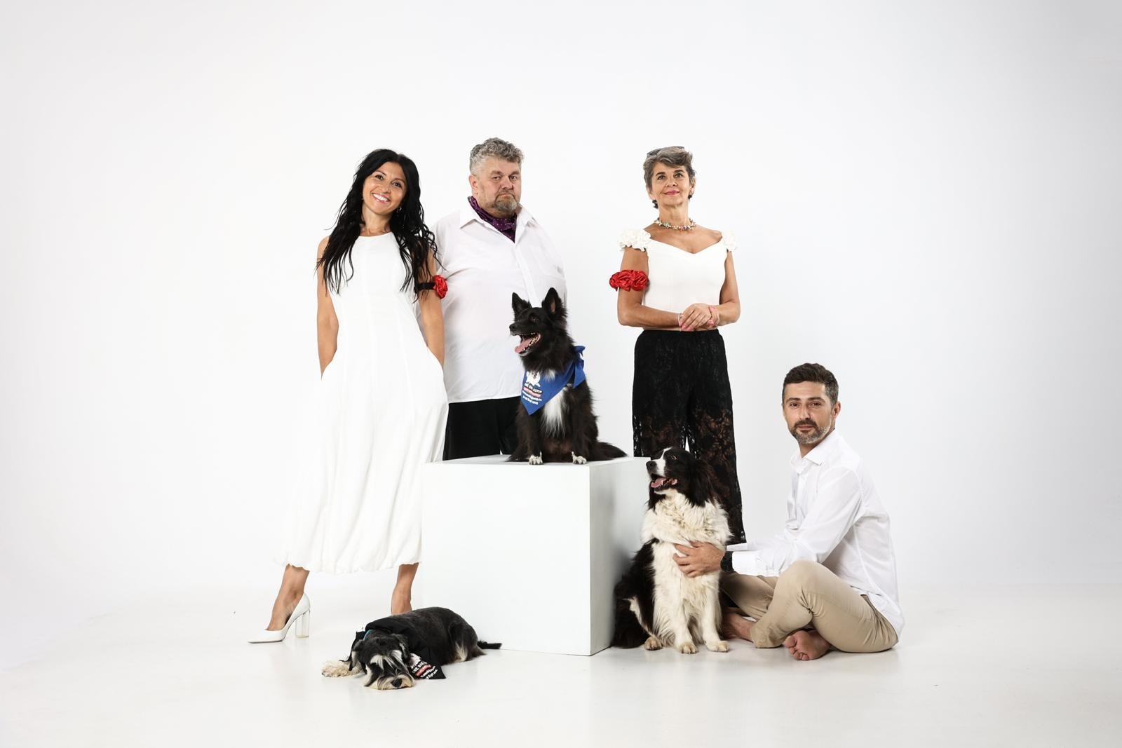 92340c6e-a8b7-4833-a066-601a6546212c