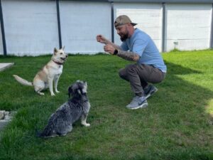 Laurentiu instructor dresaj caini