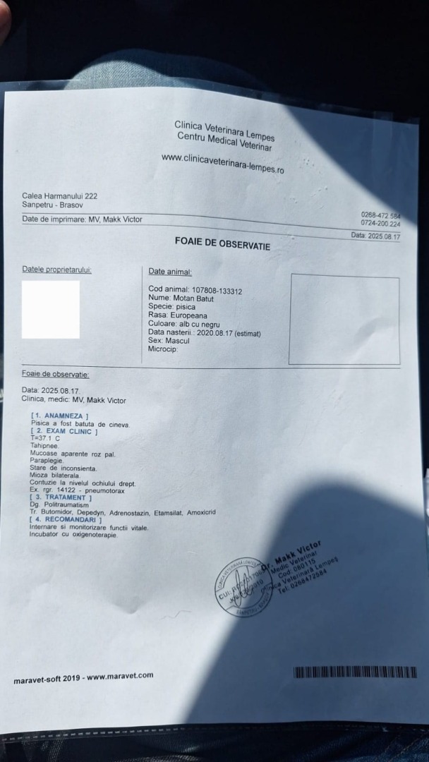 Pisoi fişă medicală