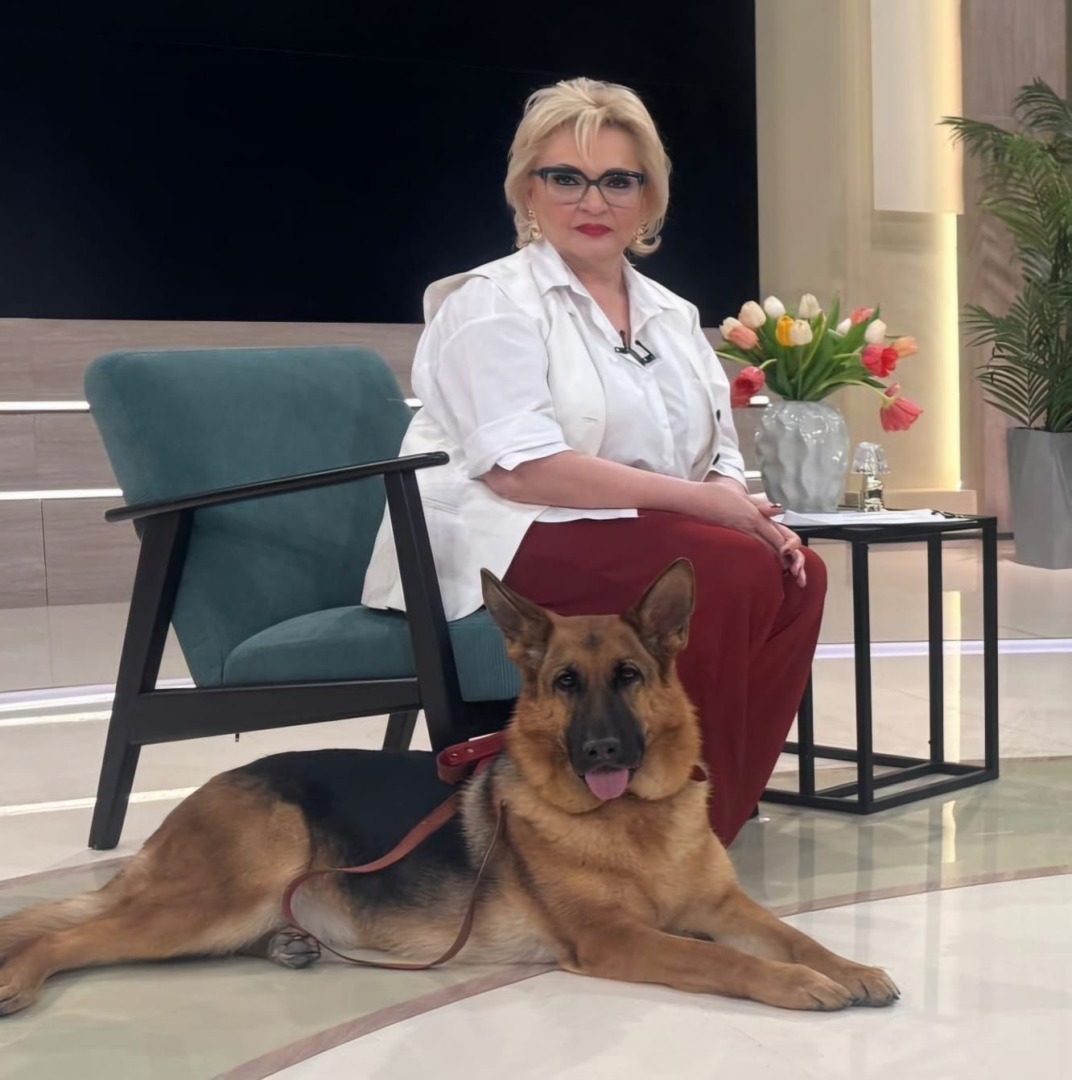 a0aaa195-a763-45df-89e2-1163b291ce97