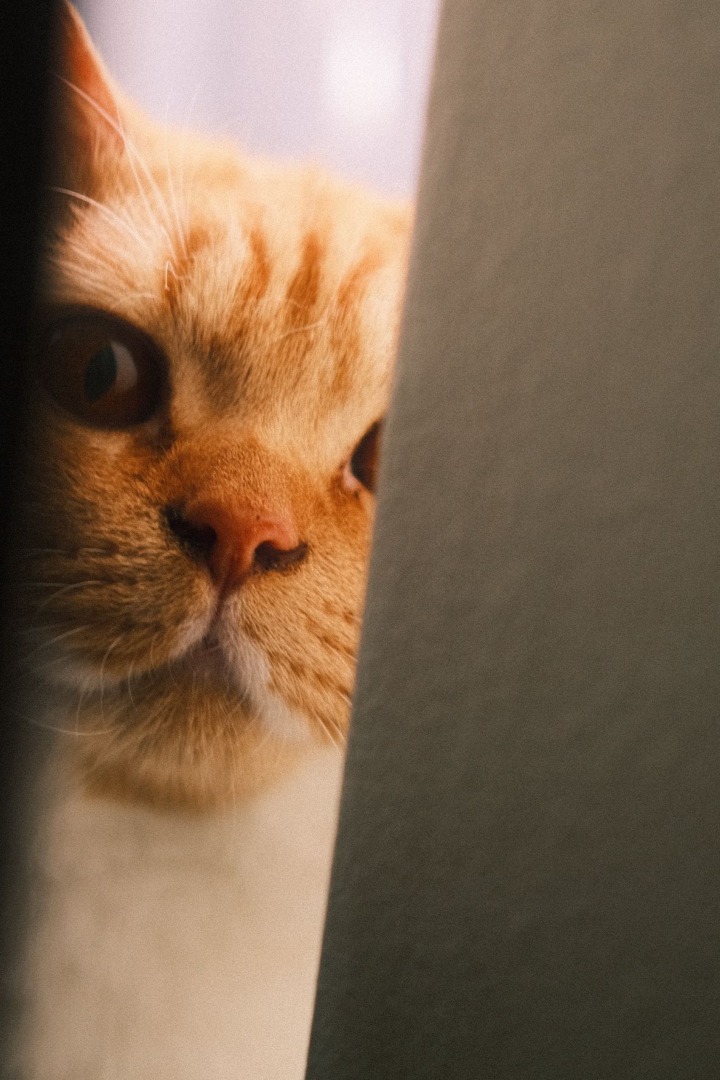 a1b28965-6186-4008-b9fb-22d1f67f62bd