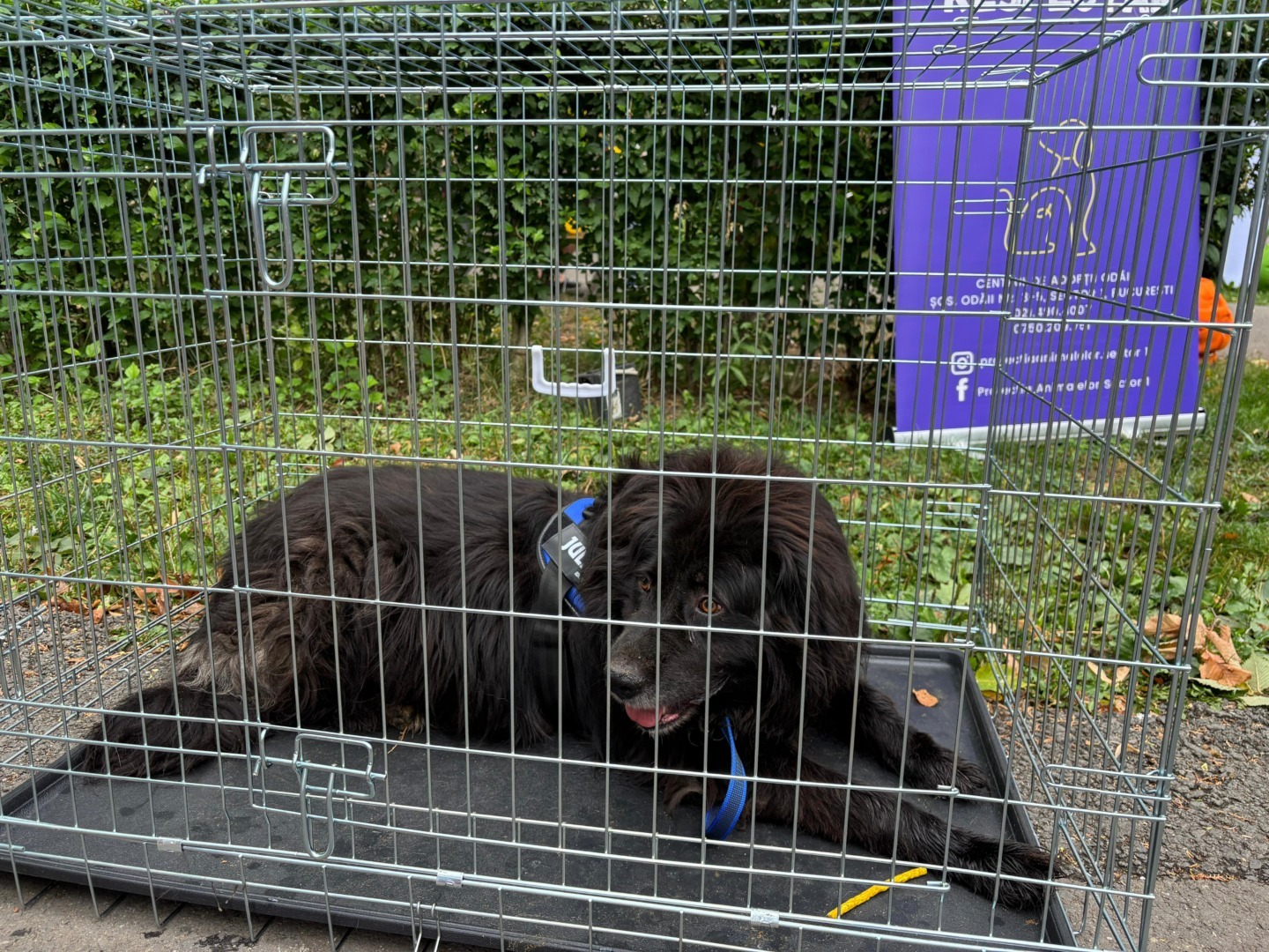 a4192aae-e05b-4162-8cfb-0c54b570aa92