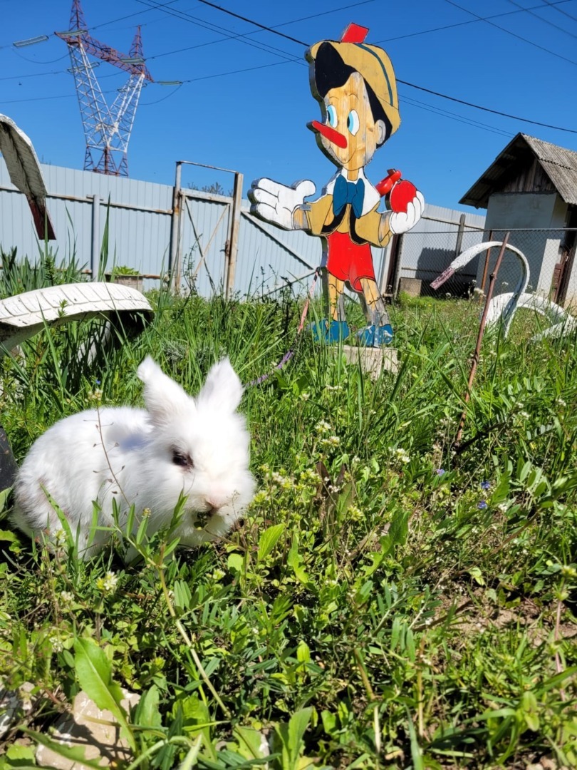 a4d129ce-caab-47ff-9a32-c12a8a70d465