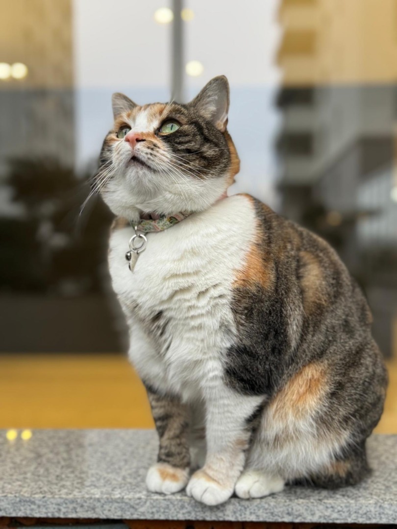 a7920648-91ef-499d-926c-a6d8402cba89