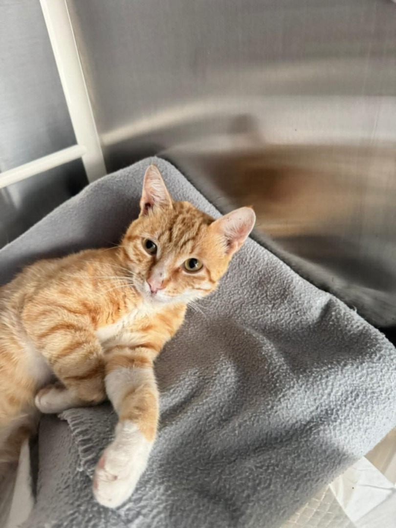 b0e94583-af5b-407a-916a-daf83be4f382