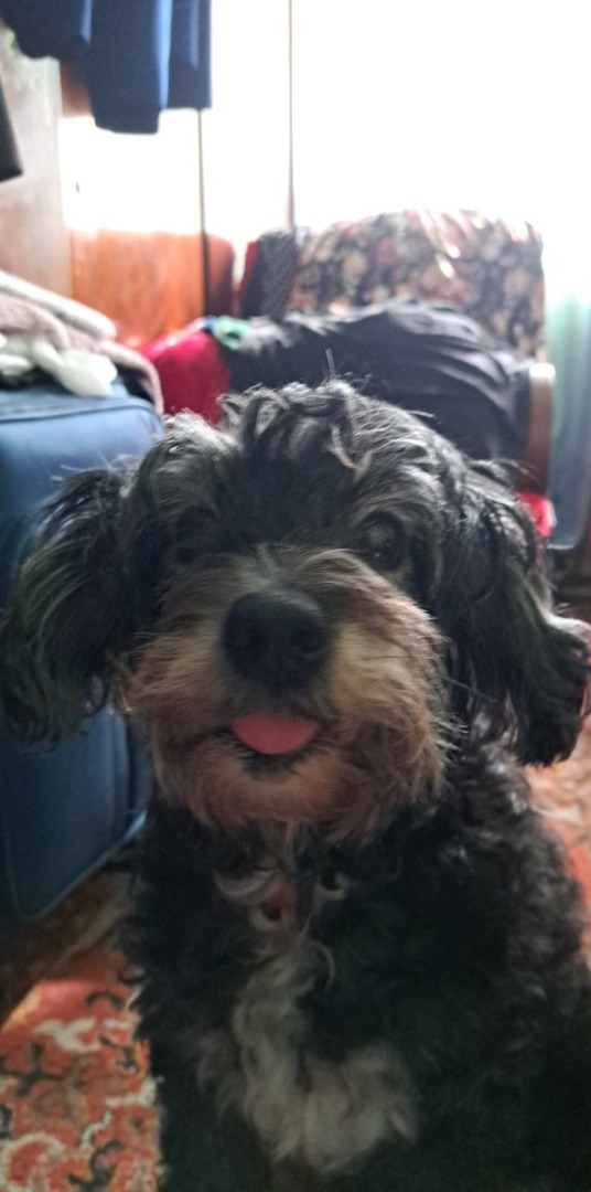 c083c80a-021d-4119-9d88-d5a223ebe8ed