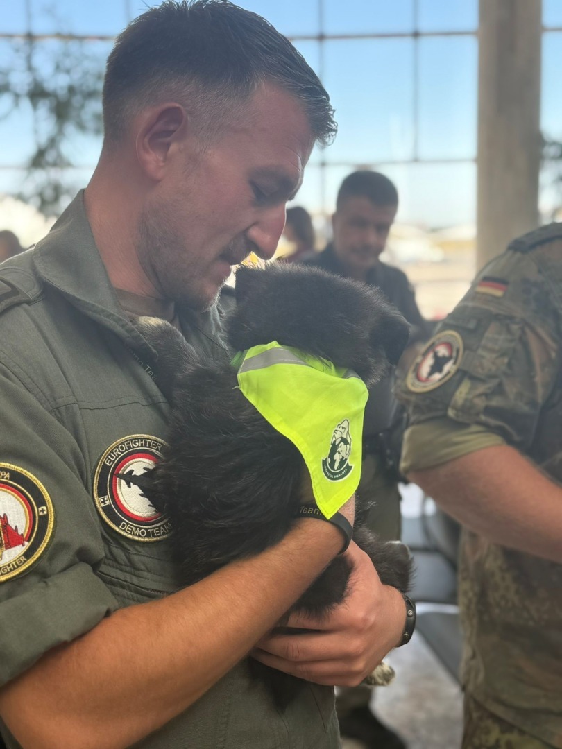 c4f85ec8-605b-477e-843e-a0c24ce0a8b9