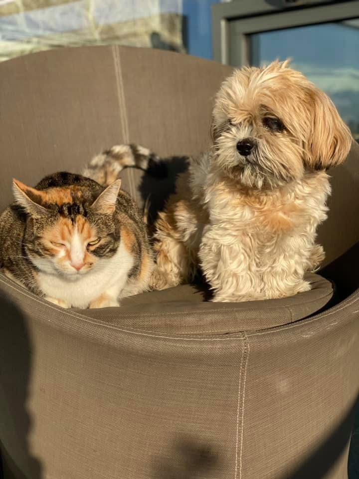 c4f9b83e-bfee-4bdc-98a7-d1f573c797ee