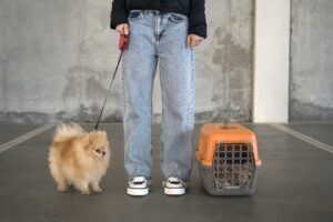 femeie cu caine si cusca transport