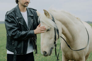 Un cal alb în timp ce stă la mângâiat