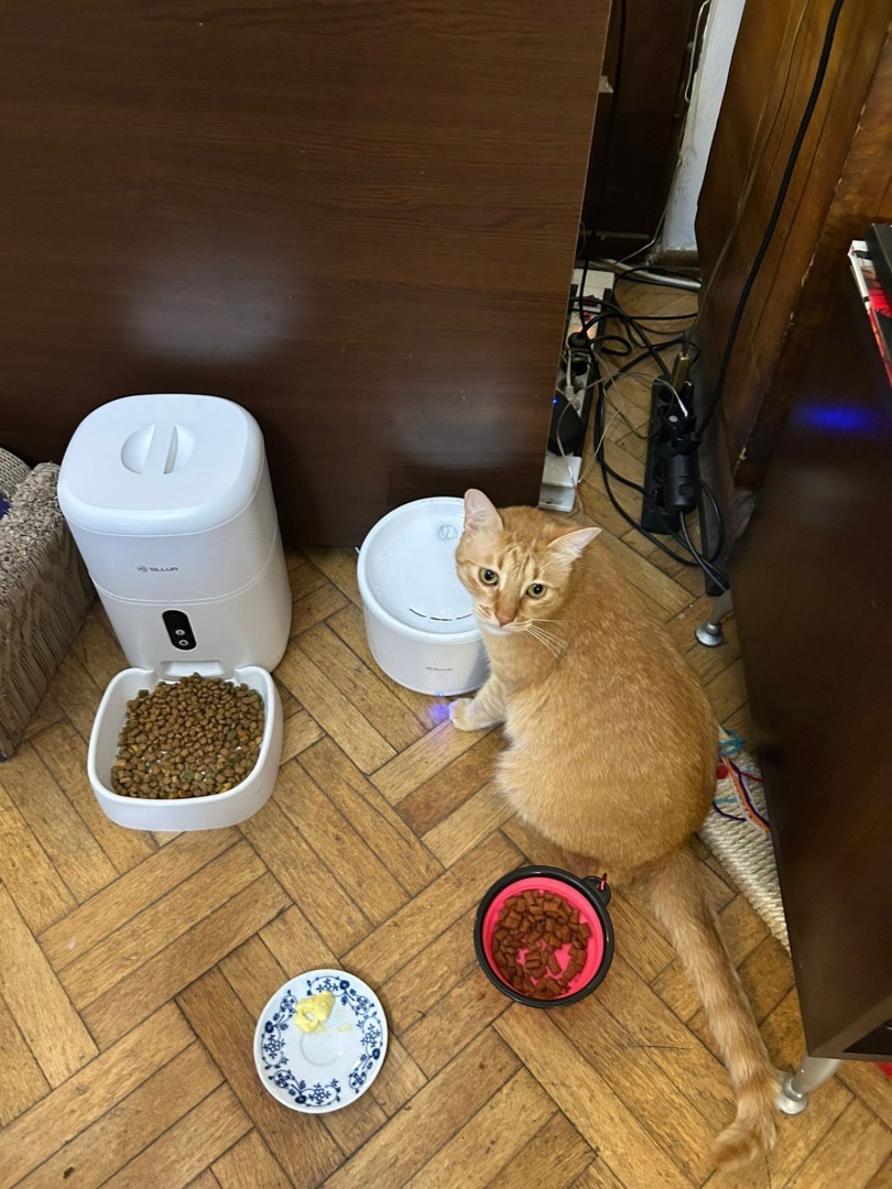 cddb3b4d-bf5d-4801-939e-ac74e337b2b9