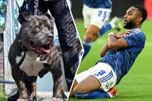 un fotbalist si cainele sau