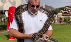 Cosmin Olaroiu tine un sarpe pe umeri