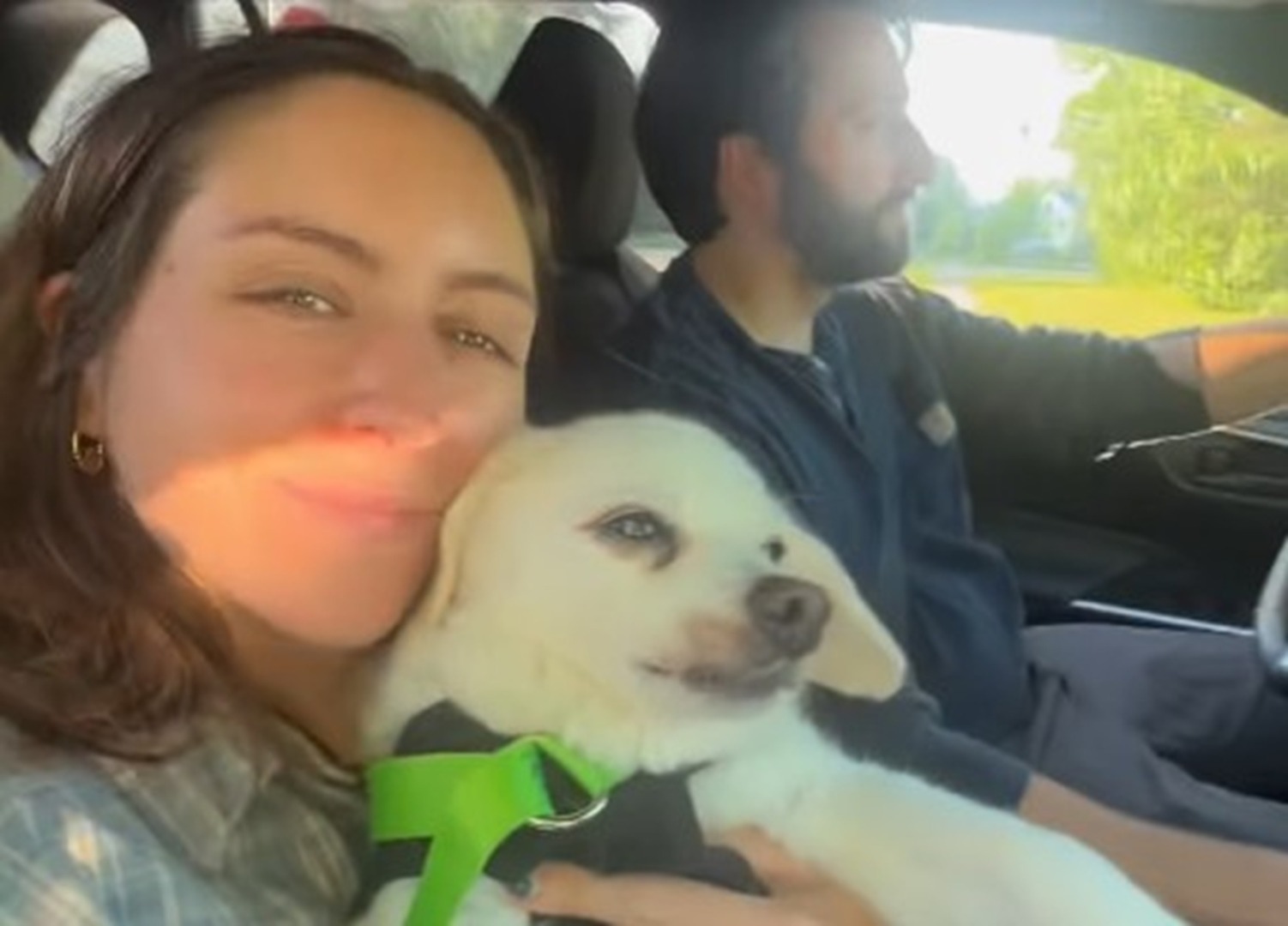 Un cuplu în mașină, alături de un câine