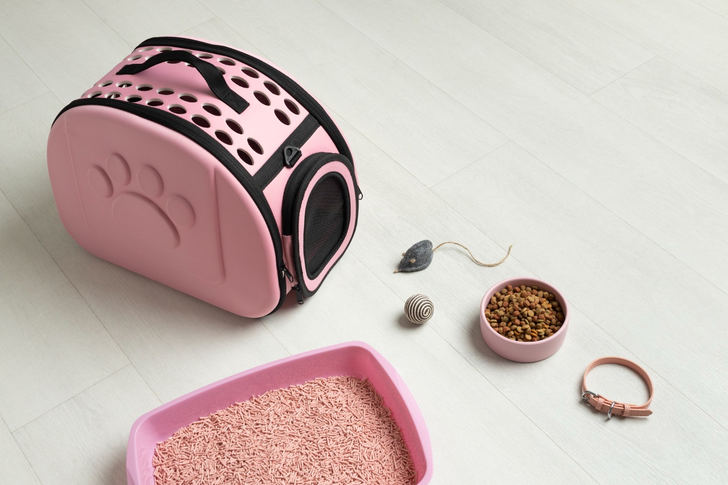 cusca de transprt pentru pisici