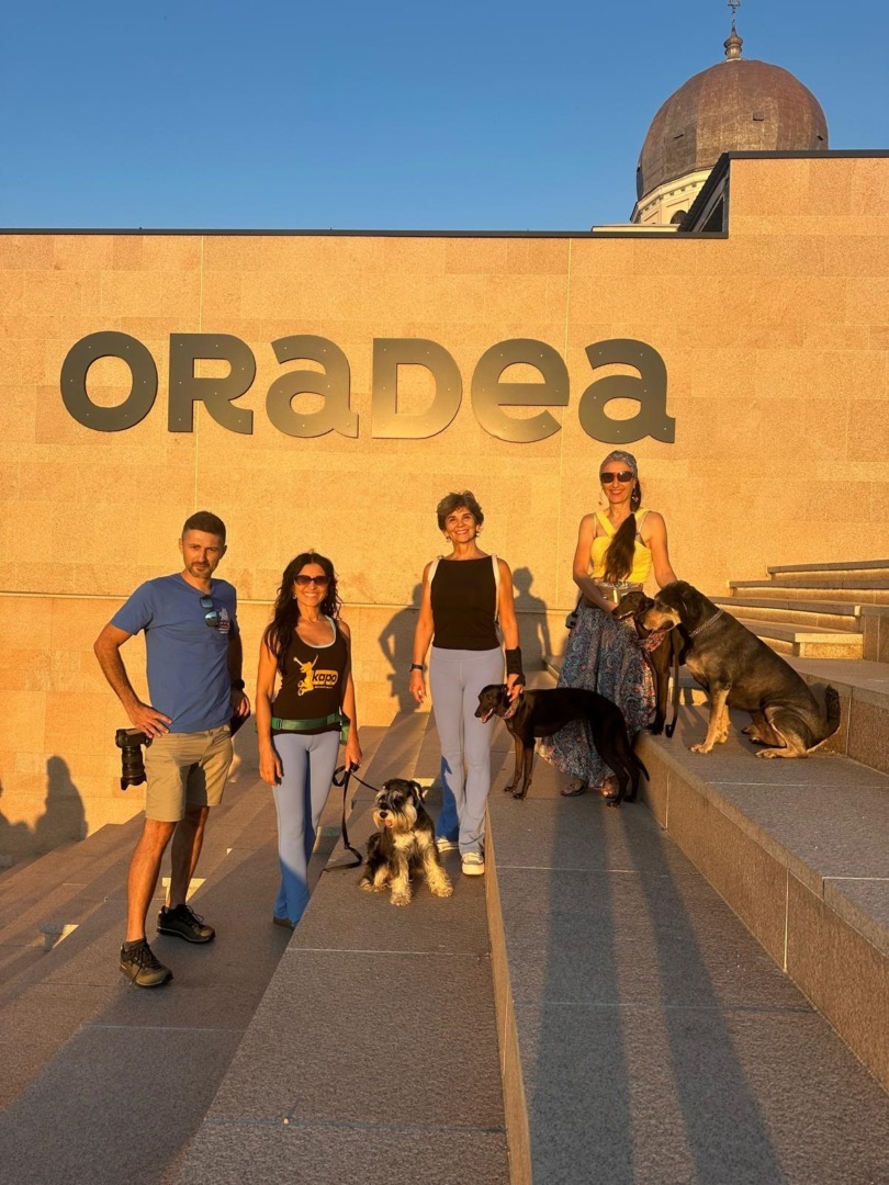 d499aba0-dc43-46da-b9ab-41ce1631307b