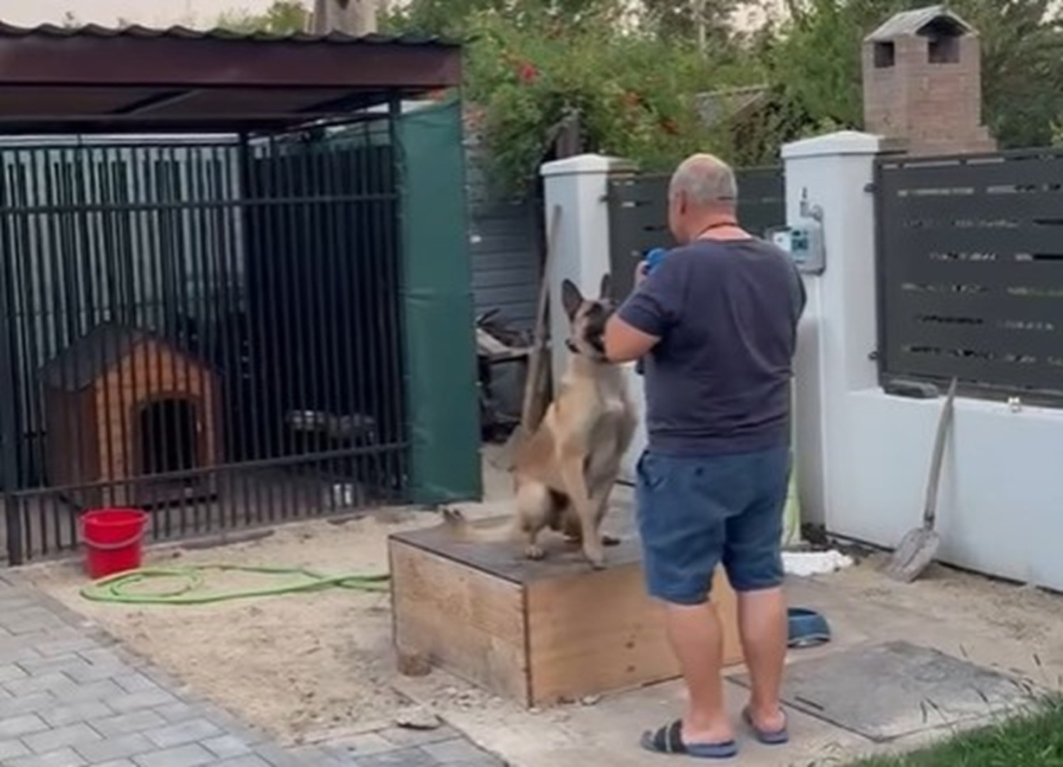 Senatorul Daniel Fenechiu se joacă cu câinele în curte