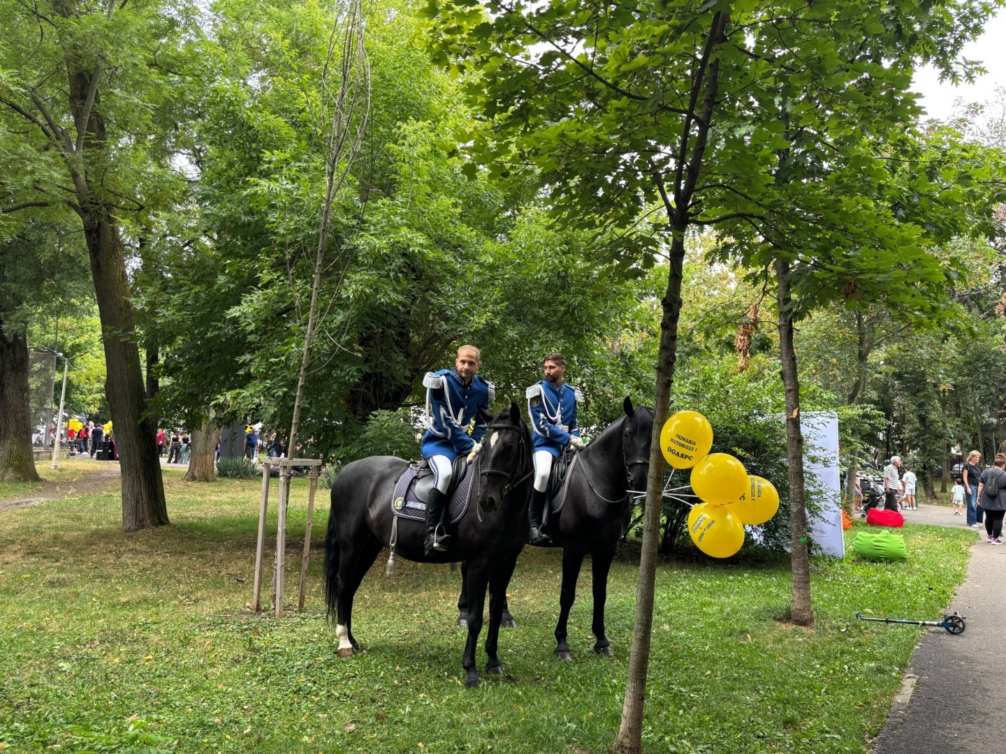 dbd6206a-36cc-432e-90ab-00c5adc4d2a2