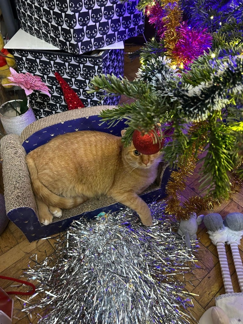 dff0389a-5e41-442d-995b-2e7d9a8e36f2