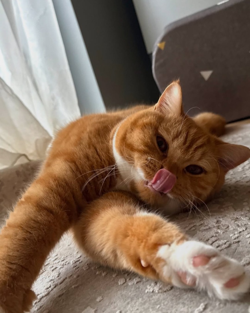 downloadgram.org_487947818_18497228494047746_939852263977739735_n