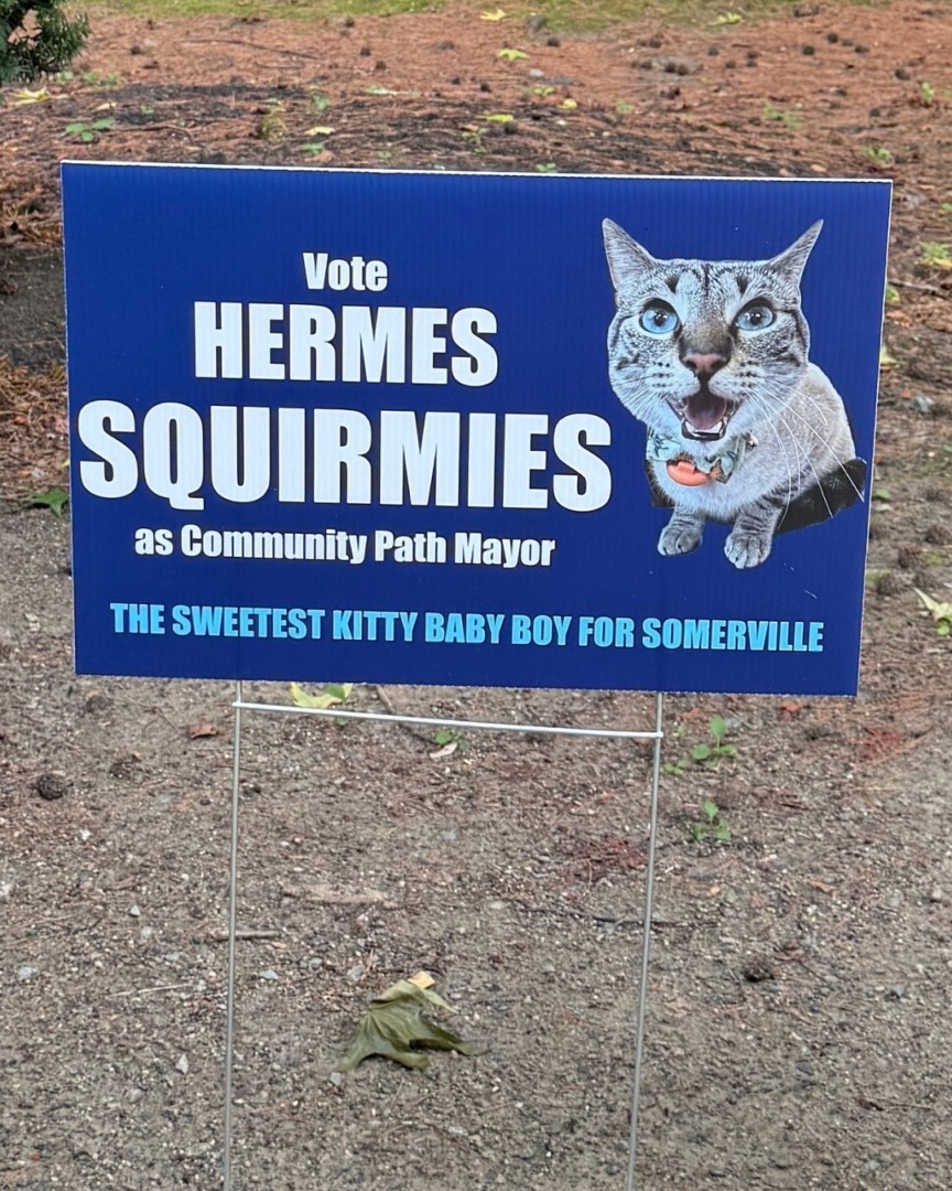 downloadgram.org_528984599_17918761683140743_7046247521432355640_n