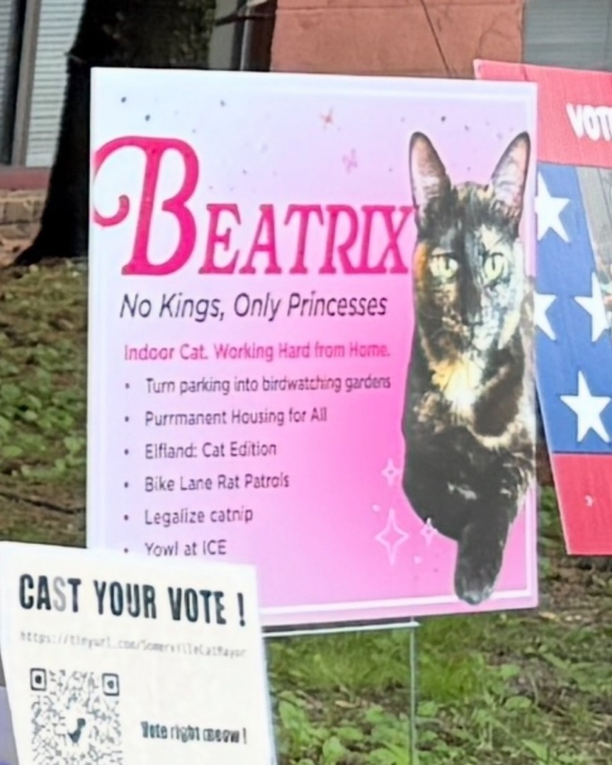 downloadgram.org_529702170_17918761710140743_2104360836929279144_n