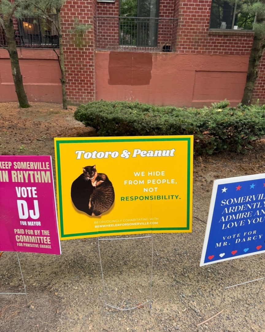 downloadgram.org_529704208_17918761725140743_8126600113463698877_n