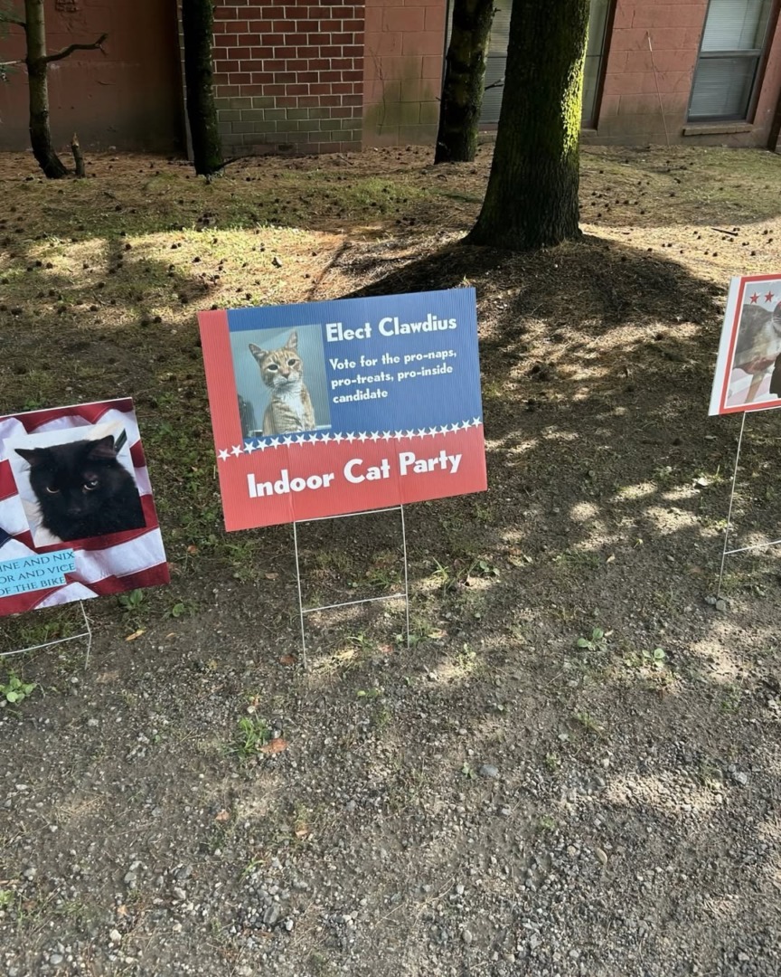 downloadgram.org_530673530_17918761671140743_4957942541562433037_n