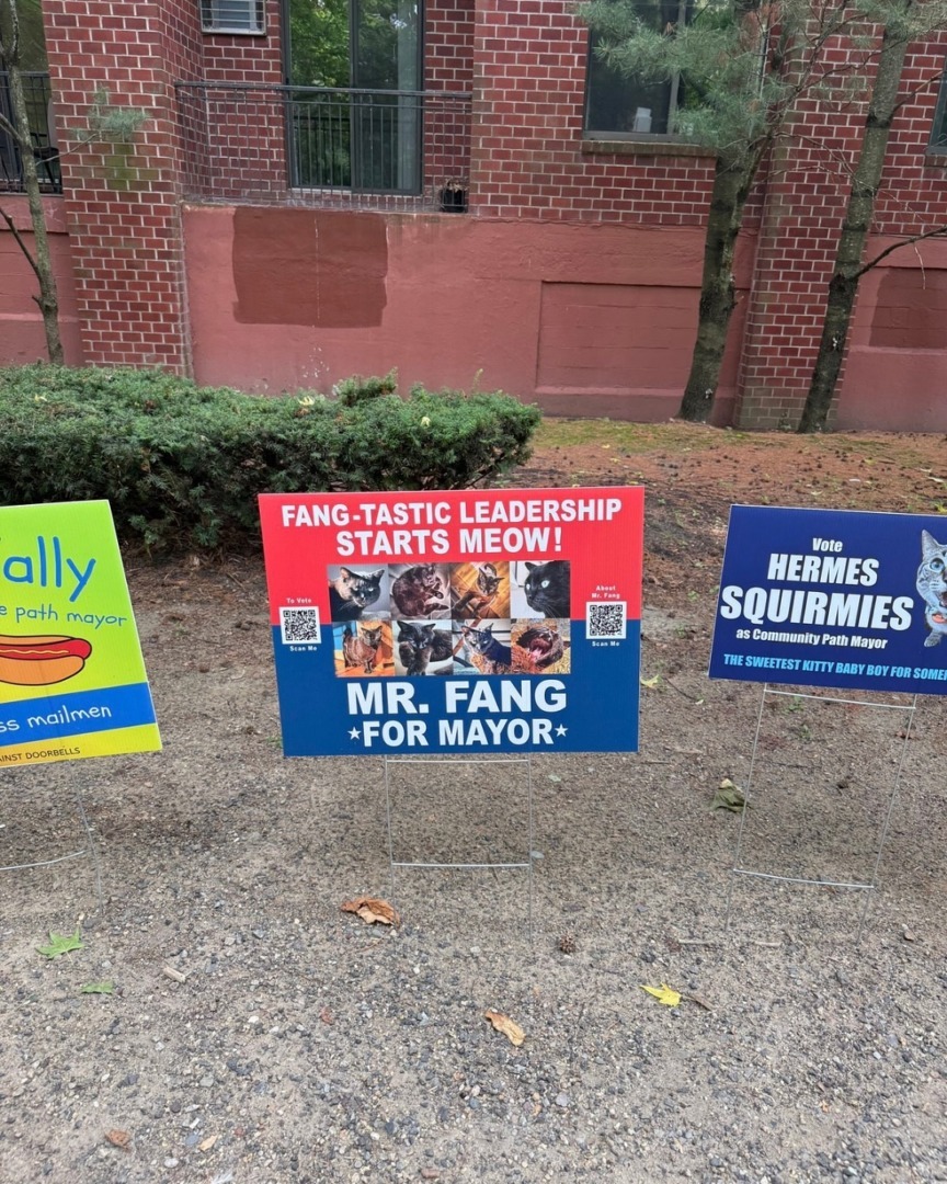 downloadgram.org_530780487_17918761740140743_7995785652856833802_n