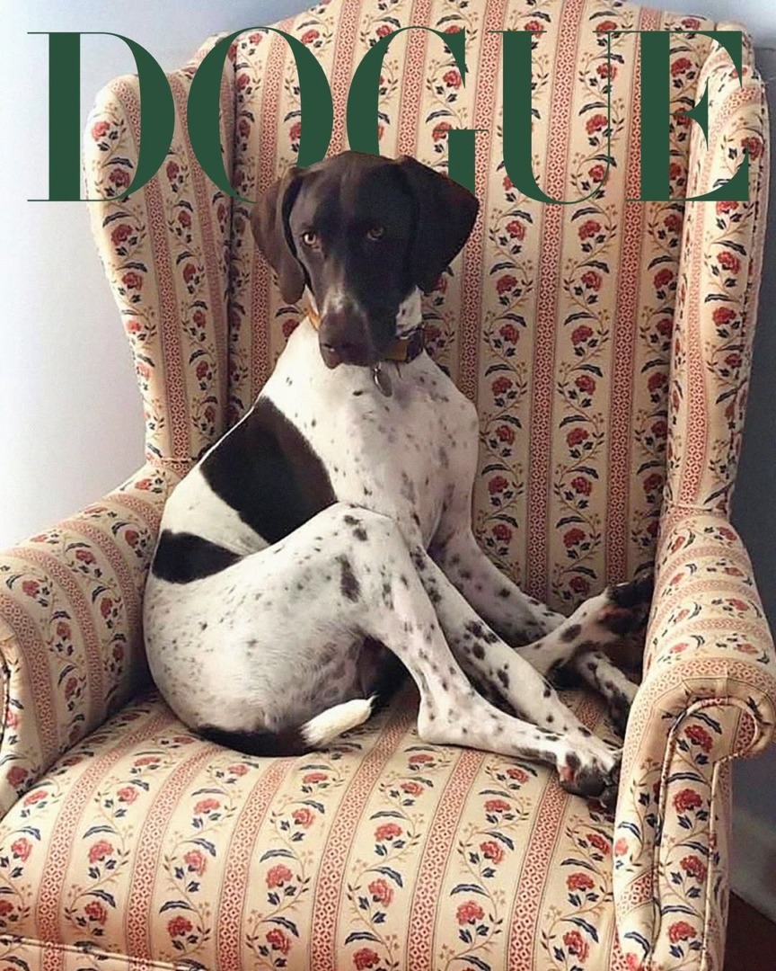 downloadgram.org_535180391_18527264080010075_656282295642052537_n