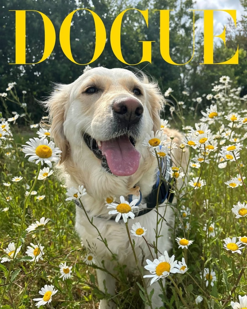 downloadgram.org_535893692_18527264098010075_1343091281884755619_n