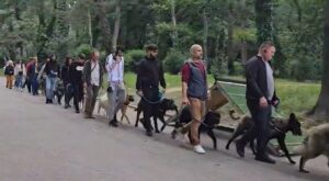 Mai mulți stăpâni de câini, alături de animalele lor la o oră de dresaj canin în parc
