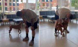 stapanul isi revede cainele pierdut