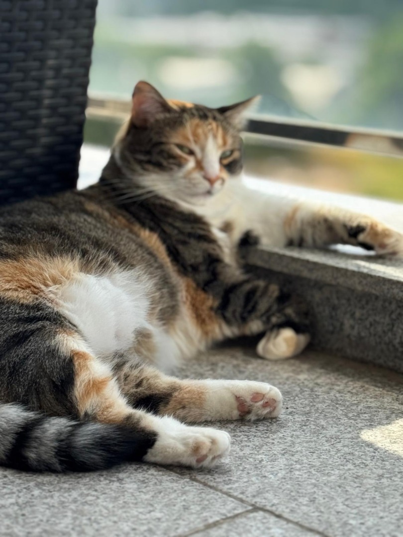 e43725d8-8aaa-4b5c-aab1-b2723bbfca7c