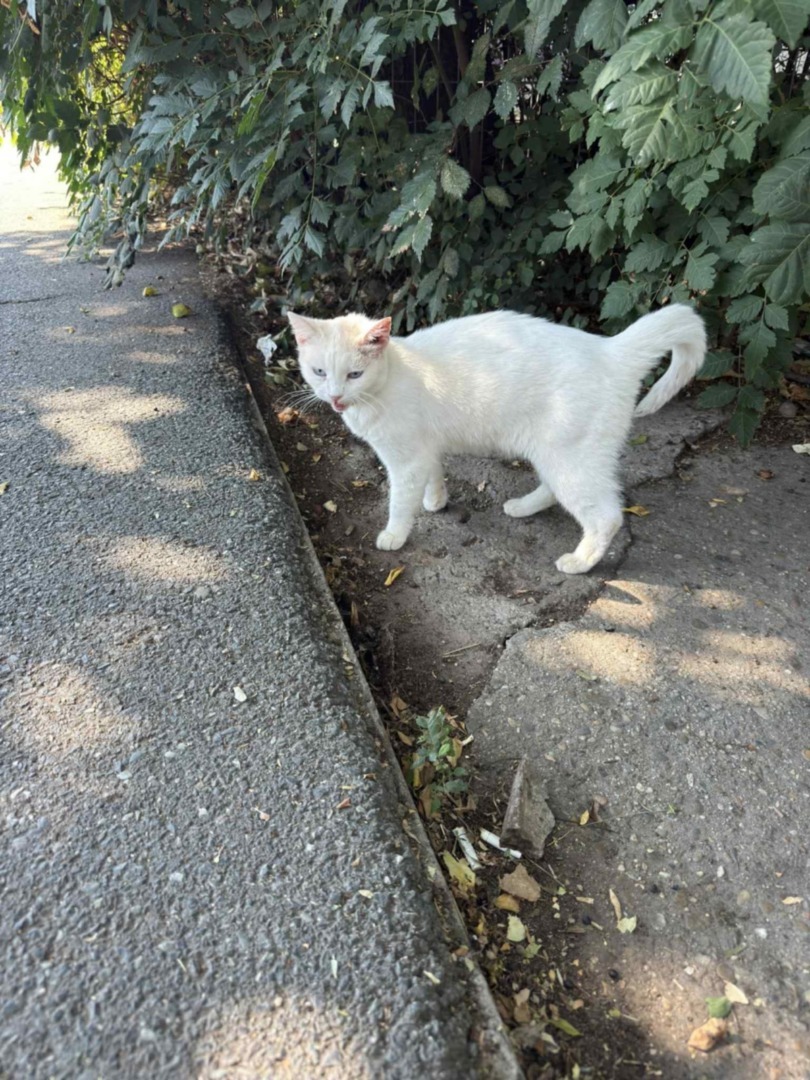 e7583d31-ea95-4e07-9410-5dba41d66dfd