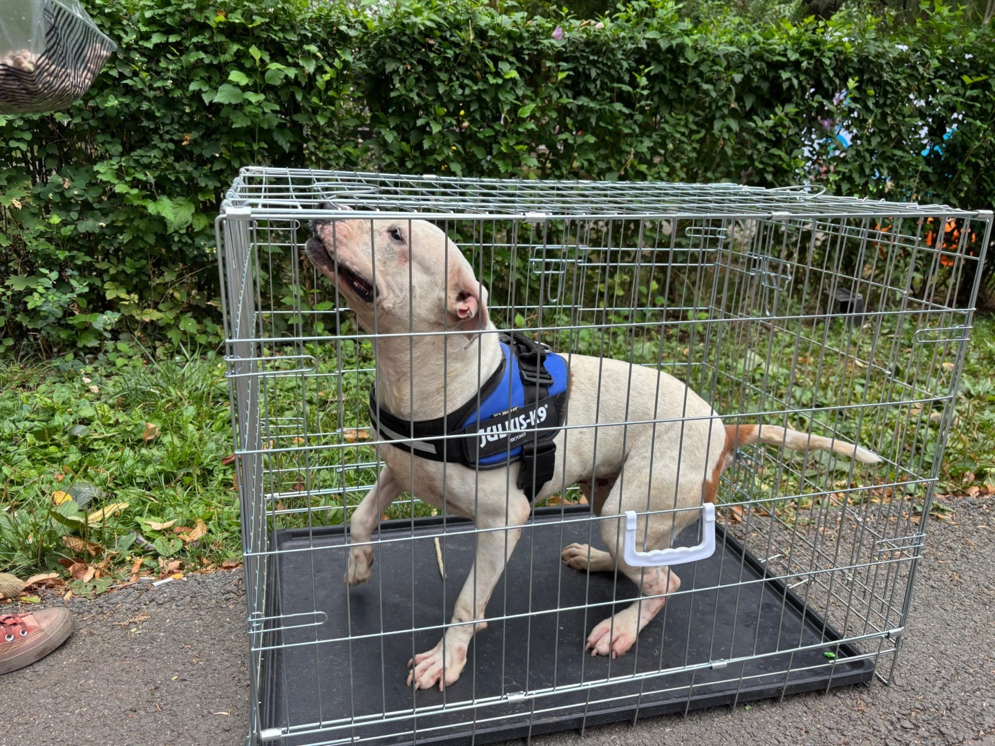 e7fb4807-9038-4eac-b5e4-ab6562c1193e