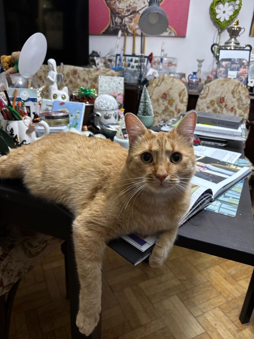 e8e50b0f-23c7-4bc0-934e-7e725250bfd1