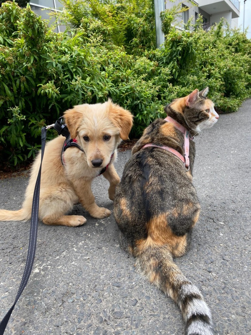 f0a3cf69-a42f-4cc4-98a1-752e96bf2d52