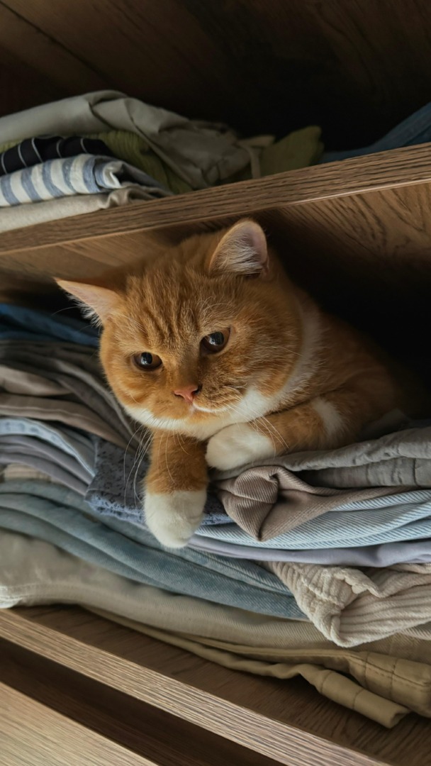 f44d0ff8-6ed5-4849-b3f3-de9c3dd958a9